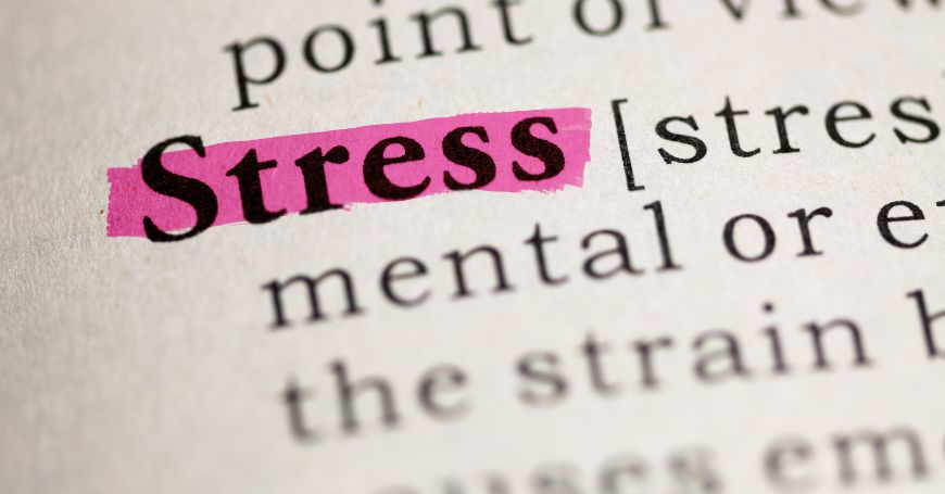 stress definizione
