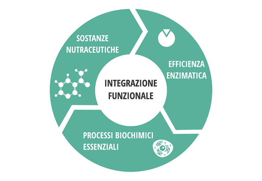 integrazione_funzionale_vital_program integrazione_funzionale_vital_program