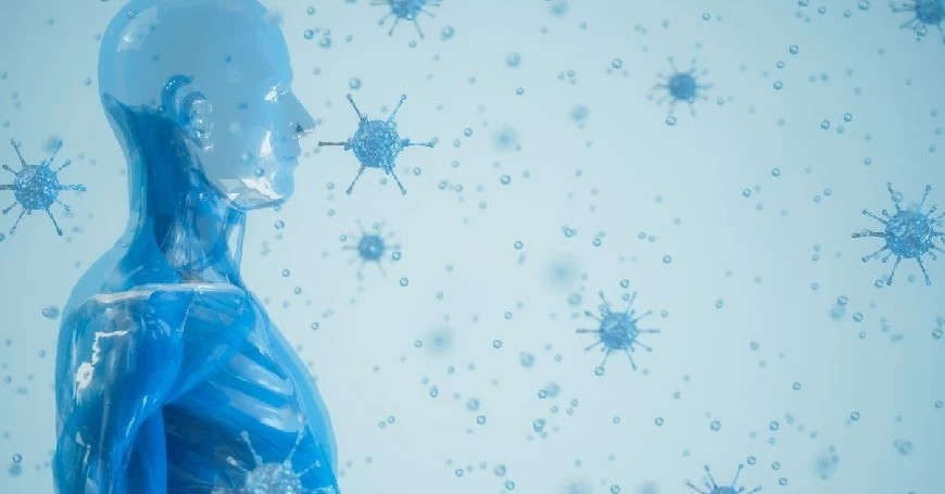 lattoferrina e sistema immunitario per proteggere dall'attacco dei batteri